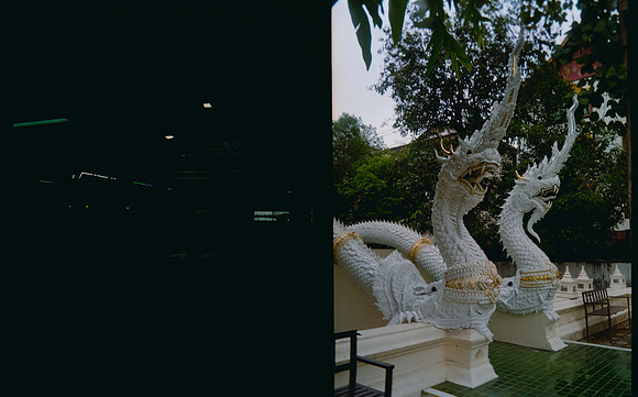 13 Karla Figueroa - Kodak Gold 200 por Arca Film Lab (Mayo 2025) - Rollo 1037