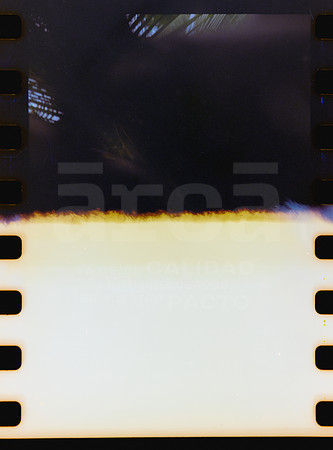 01 Rollo 07 Avery - Kodak Gold 200 por ArcaFilmLab (Octubre 2023)