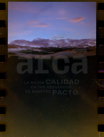 02 Rollo 07 Avery - Kodak Gold 200 por ArcaFilmLab (Octubre 2023)