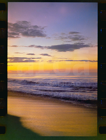 08 Rollo 07 Avery - Kodak Gold 200 por ArcaFilmLab (Octubre 2023)