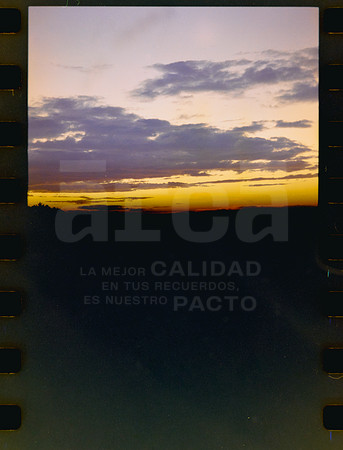 10 Rollo 07 Avery - Kodak Gold 200 por ArcaFilmLab (Octubre 2023)