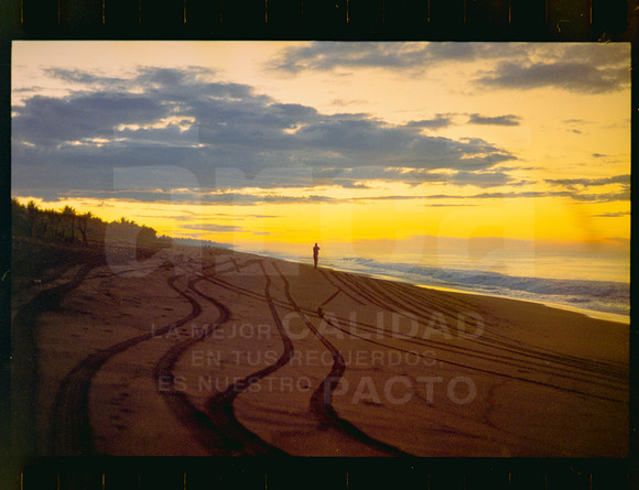11 Rollo 07 Avery - Kodak Gold 200 por ArcaFilmLab (Octubre 2023)