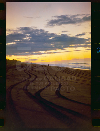 13 Rollo 07 Avery - Kodak Gold 200 por ArcaFilmLab (Octubre 2023)