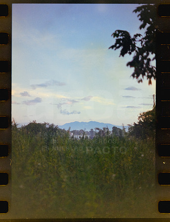 18 Rollo 07 Avery - Kodak Gold 200 por ArcaFilmLab (Octubre 2023)