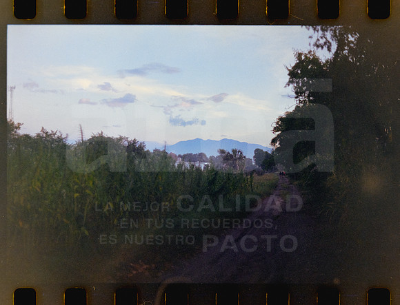 19 Rollo 07 Avery - Kodak Gold 200 por ArcaFilmLab (Octubre 2023)
