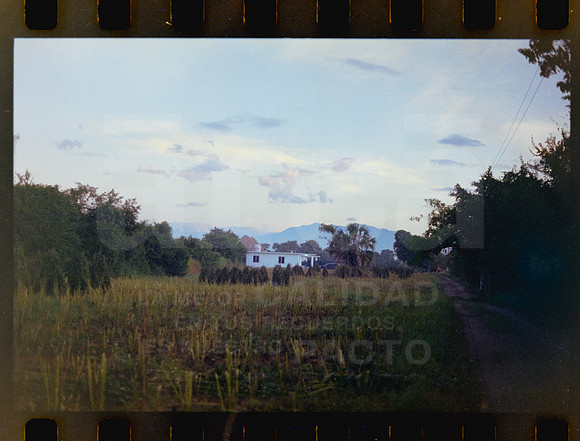 20 Rollo 07 Avery - Kodak Gold 200 por ArcaFilmLab (Octubre 2023)