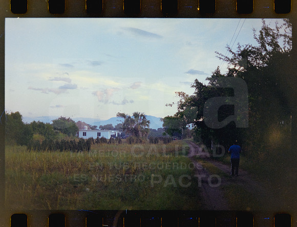 21 Rollo 07 Avery - Kodak Gold 200 por ArcaFilmLab (Octubre 2023)