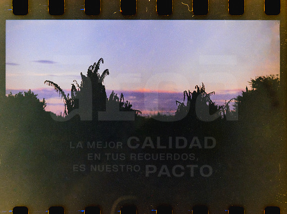 23 Rollo 07 Avery - Kodak Gold 200 por ArcaFilmLab (Octubre 2023)