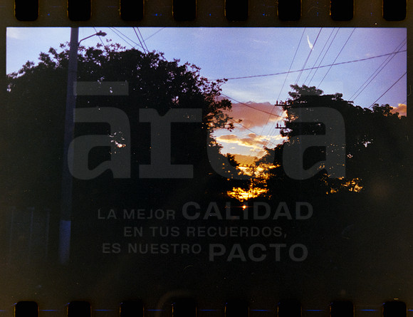 25 Rollo 07 Avery - Kodak Gold 200 por ArcaFilmLab (Octubre 2023)