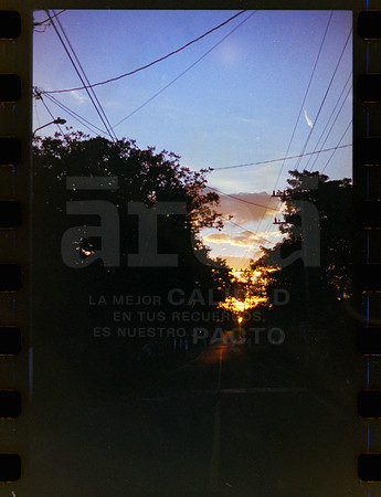 26 Rollo 07 Avery - Kodak Gold 200 por ArcaFilmLab (Octubre 2023)