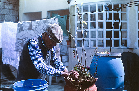 22 Julio Letrán - Fujifilm Provia 100F por Arca Film Lab (Julio 2024) - Rollo 0154