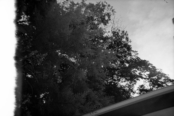 01 Andrea Osorio - Ilford HP5 Plus 400 por ArcaFilmLab (Octubre 2023)