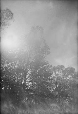 19 Andrea Osorio - Ilford HP5 Plus 400 por ArcaFilmLab (Octubre 2023)