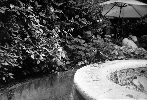 27 Andrea Osorio - Ilford HP5 Plus 400 por ArcaFilmLab (Octubre 2023)
