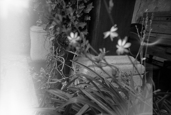 32 Andrea Osorio - Ilford HP5 Plus 400 por ArcaFilmLab (Octubre 2023)