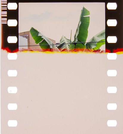01 Rafael Peyré - Kodak Portra 400 por Arca Film Lab (Agosto 2024) - Rollo 0218