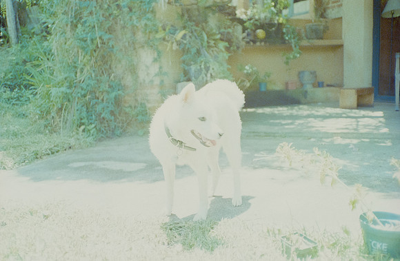 05 Mia Yun - Lomography 400 por Arca Film Lab (Enero 2025) - Rollo 0623