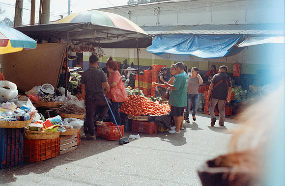 28 Iván Ortíz - Kodak Gold 200 Film Lab (Agosto 2024) - Rollo 0281