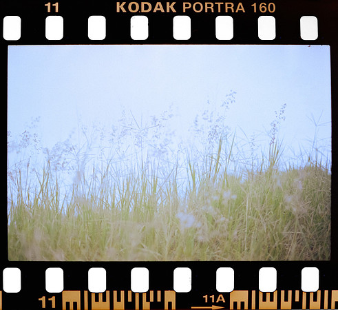 07 Erick Sandoval - Kodak Portra 160 por Arca Film Lab (Septiembre 2024) - Rollo 0352