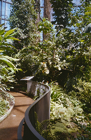 12 Elena Santa María - Kodacolor 200 por Arca Film Lab (Febrero 2025) - Rollo 0708