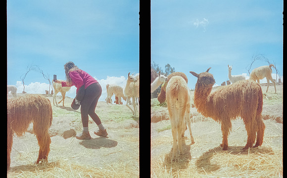 09 Isa Valladares - Cinestill 400D por Arca Film Lab (Enero 2025) - Rollo 0612