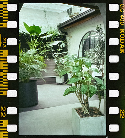 25 David Santiago - Kodak Ultramax 400 por Arca Film Lab (Febrero 2025) - Rollo 0703