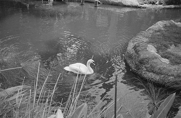 21 Carmen Tórres - Ilford HP5+ 400 por Arca Film Lab (Septiembre 2024) - Rollo 0334