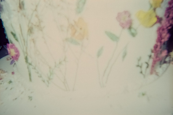 01 Mohamed Safi - Cinestill 800T por Arca Film Lab (Enero 2025) - Rollo 0661