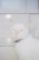 16 Abraham Castillo - Fujifilm 400 por Arca Film Lab (Junio 2025) - Rollo 1118