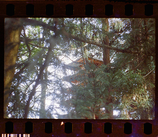 36 Fernanda Gonzáles - Reflx Lab 800T Push 3200 por Arca Film Lab (Mayo 2024) - Rollo 0049