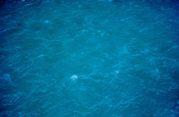 23 María Olga Samperio - Kodacolor 200 por Arca Film Lab (Enero 2025) - Rollo 0677