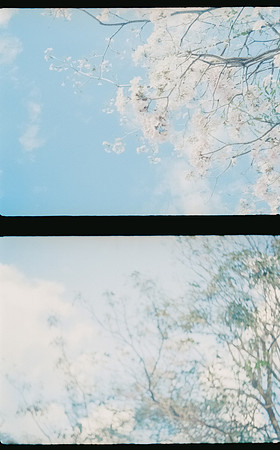 20 Natalia Mendoza - Kodak Gold 200 por Arca Film Lab (Abril 2025) - Rollo 0931