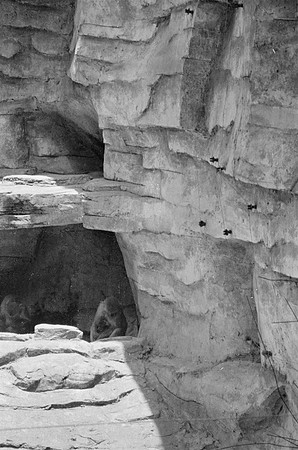 20 Carmen Tórres - Ilford HP5+ 400 por Arca Film Lab (Septiembre 2024) - Rollo 0334