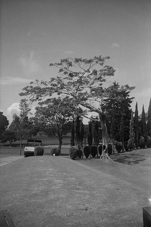 13 Rotthur Rollo 2 - Ilford HP5 Plus 400 - Arca Film Lab (Nov2023)
