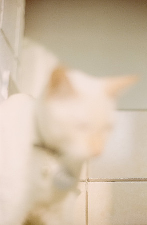 17 Abraham Castillo - Fujifilm 400 por Arca Film Lab (Junio 2025) - Rollo 1118