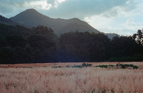 08 Rafael Peyré - Kodak Portra 400 por Arca Film Lab (Agosto 2024) - Rollo 0218