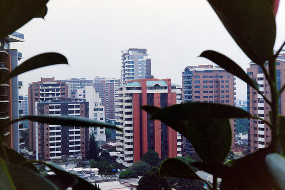 17 Rotthur Rollo 3 - Kodak Portra 400 - Arca Film Lav (No2023)
