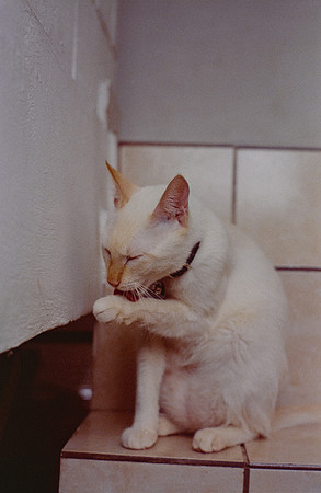 05 Abraham Castillo - Fujifilm 400 por Arca Film Lab (Junio 2025) - Rollo 1118