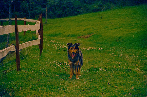 34 Omar Véliz - Kodak Vision 3 500T por Arca Film Lab (Febrero 2025) - Rollo 0682