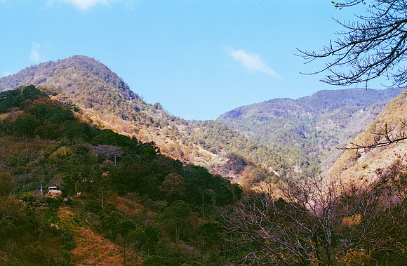 07 Emerson Quintanilla - Kodak Ultramax 400 por Arca Film Lab (Abril 2025) - Rollo 0906