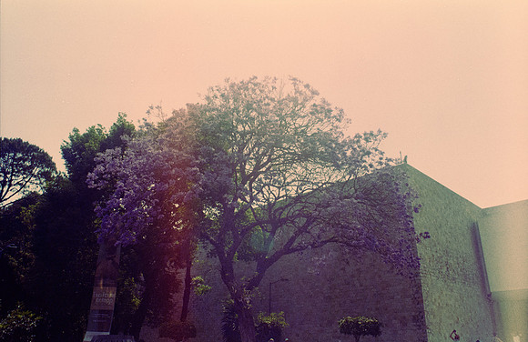 20 José Vásquez - Fujifilm 200 por Arca Film Lab (Enero 2025) - Rollo 0667