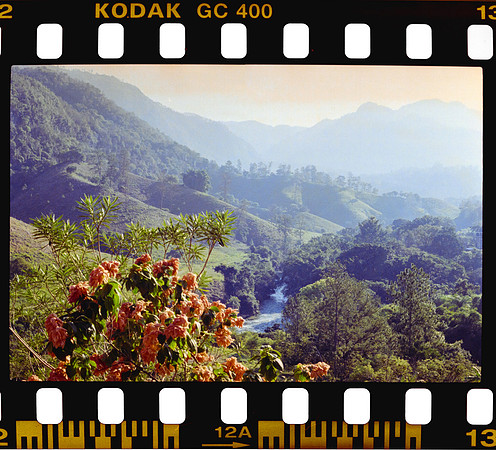 12 Yasemin Tocpan - Kodak Ultramax 400 por Arca Film Lab (Octubre 2024) - Rollo 0392
