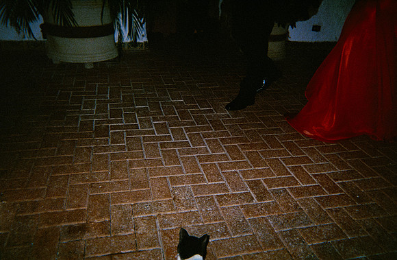 19 Valeria Sierra - Fujifilm 400 por Arca Film Lab (Enero 2025) - Rollo 0650