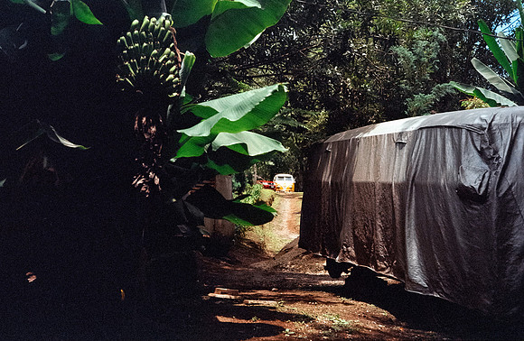 30 Rodrigo Lorenz - Kodak Gold 200 por Arca Film Lab (Julio 2024) - Rollo 0142