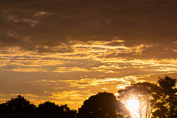 01 Atardecer 2 Enero 2019
