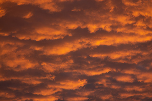 26 Atardecer 2 Enero 2019