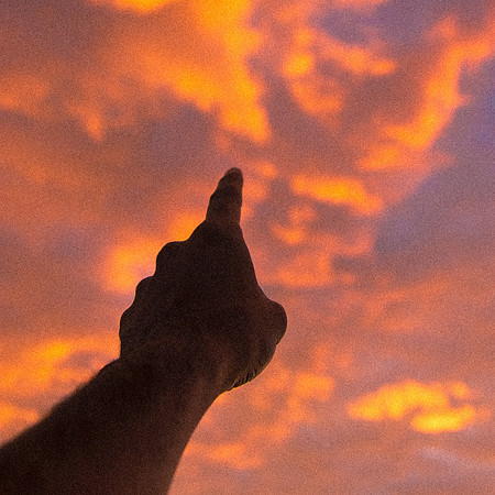 34 Atardecer 2 Enero 2019