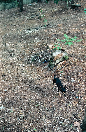 11 Amdrés Cux - Cinestill 400D por Arca Film Lab (Julio 2024) - Rollo 0179