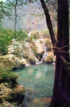 08 Kadison Cole- Kodak Gold 200 por Arca Film Lab (Junio 2024) - Rollo 0122