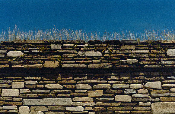 14 Ricardo Rodas - Kodak Portra 400 por Arca Film Lab (Enero 2025) - Rollo 0655